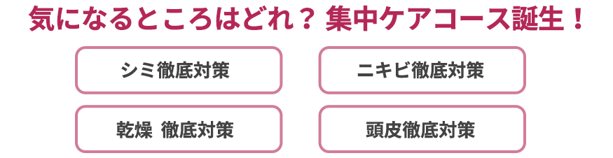 気になるどころはどれ？ 集中ケアコース誕生！