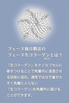フェース生コラーゲンとは